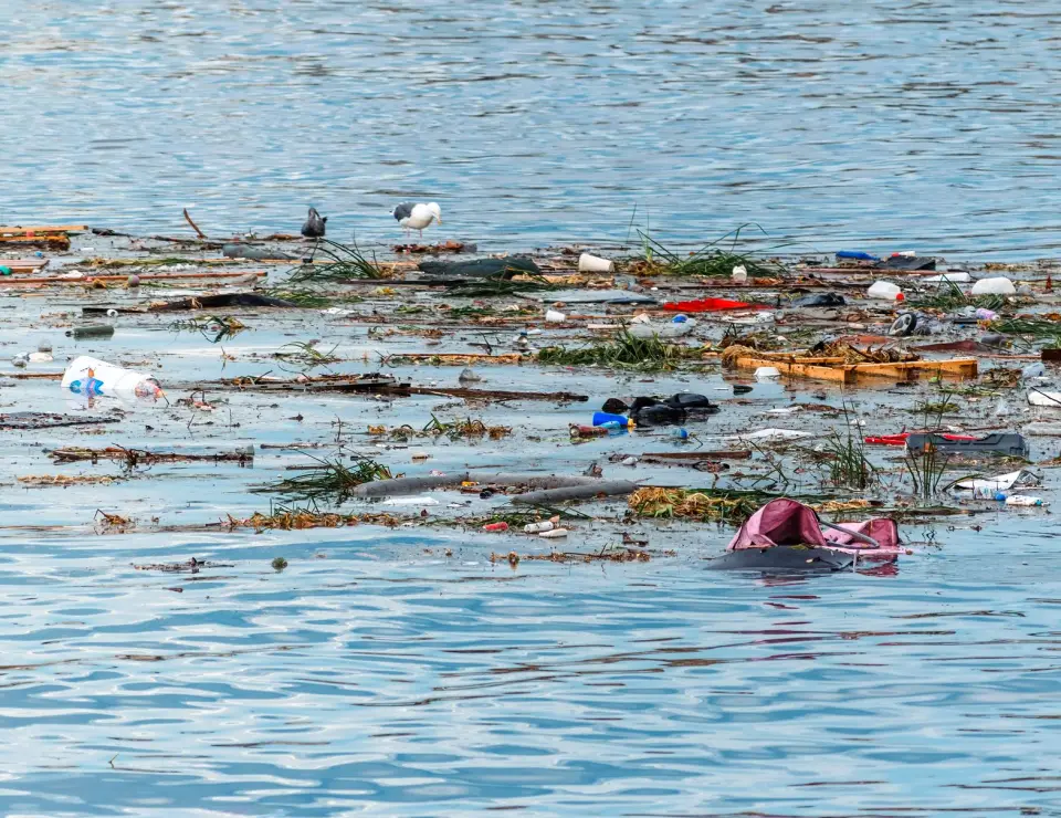 Apprenez à enquêter sur l'environnement suisse